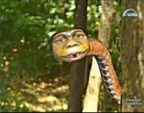gma snake